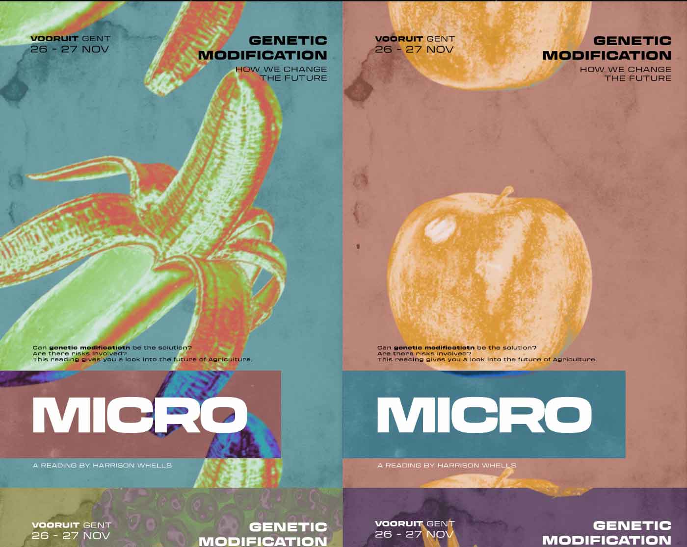 Micro studio concept flyer